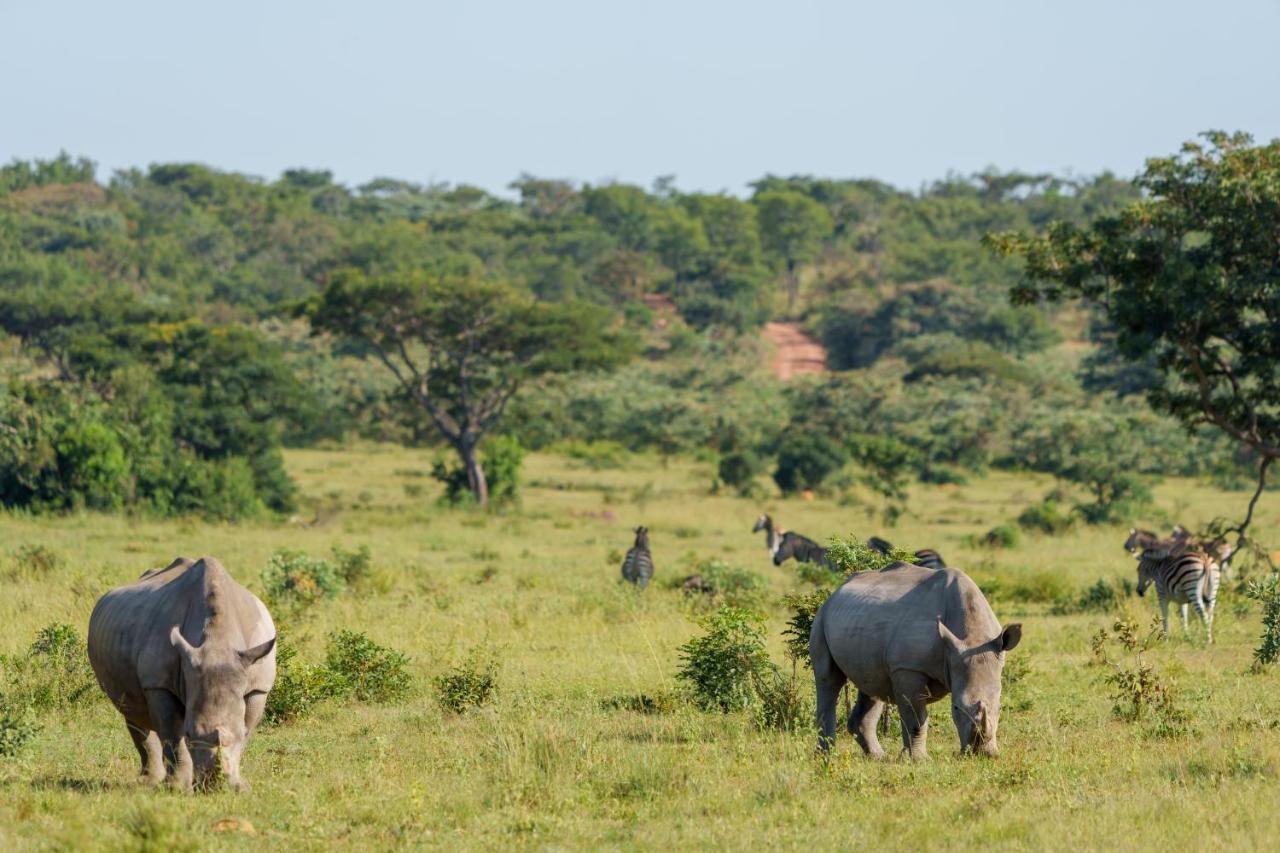 Elephants Crossing Welgevonden Game Reserve ภายนอก รูปภาพ